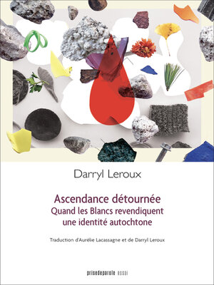 cover image of Ascendance détournée
